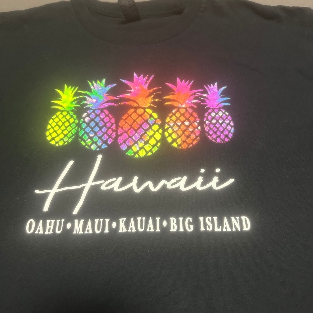 Mens Hawaii Rainbow Pineapple T-Shirt Large Black Souvenir Graphic Heavy Cotton - Picture 3 of 6